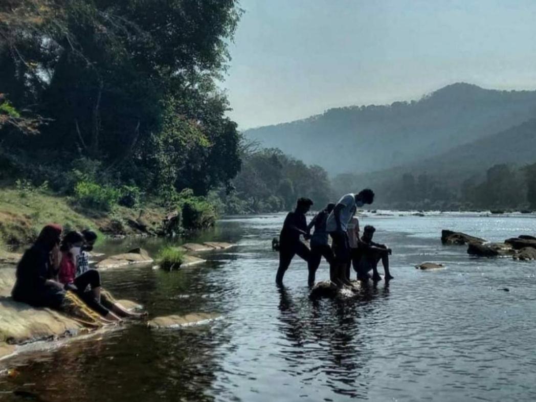 Nest Resorts Athirappilly Exteriér fotografie