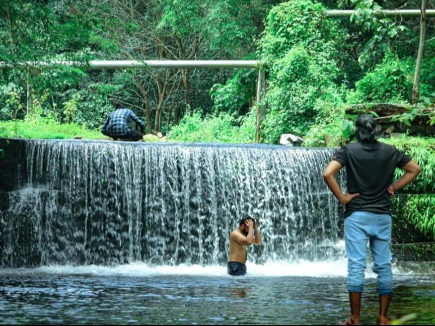 Nest Resorts Athirappilly Exteriér fotografie